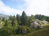 SALITA SUL MONTE SODADURA DA MOGGIO VALSASSINA il 19 agosto 2010 - FOTOGALLERY